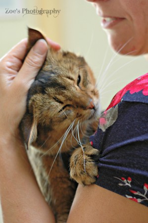 Loki is een echte knuffelkont!